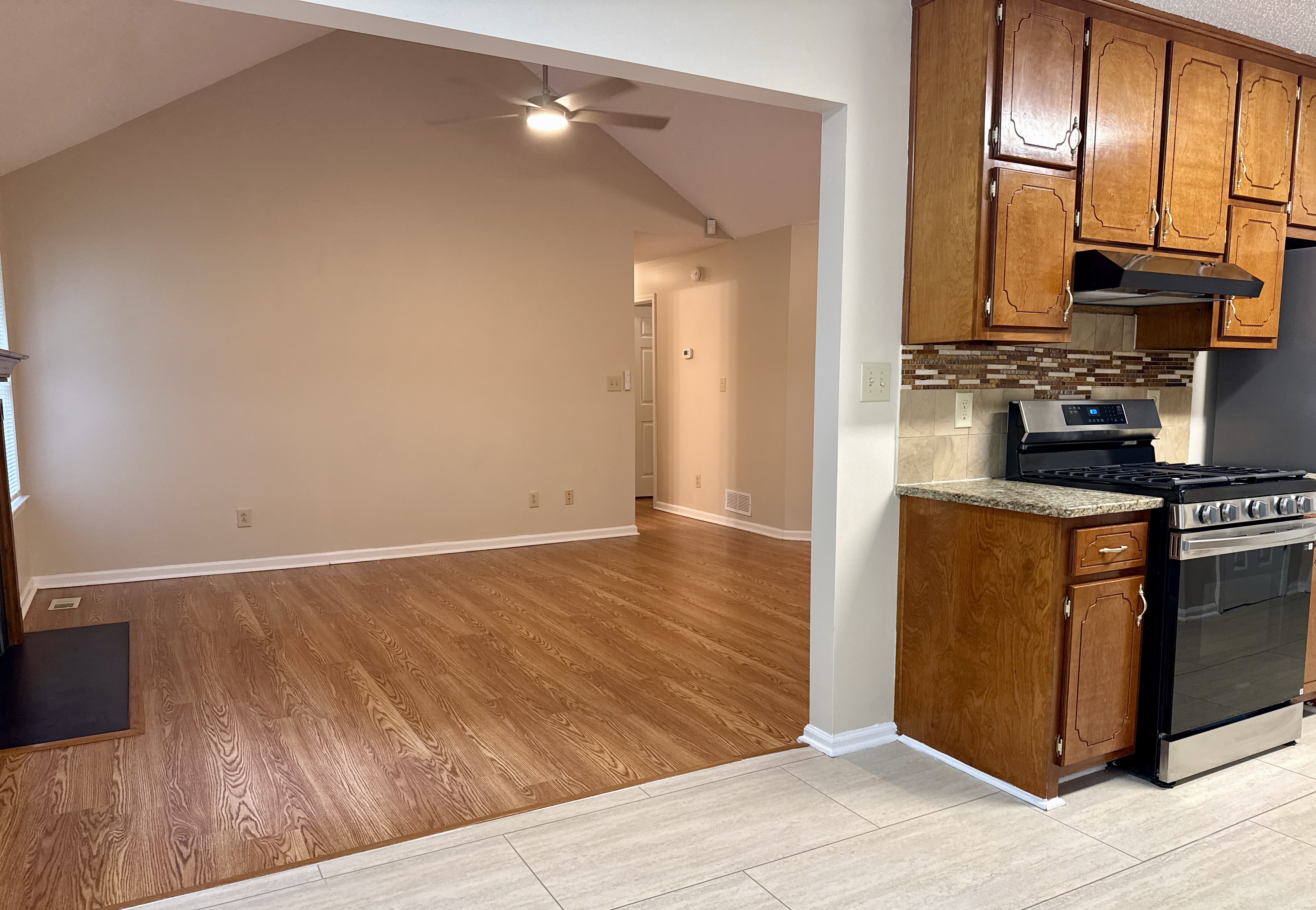 Open living room and kitchen